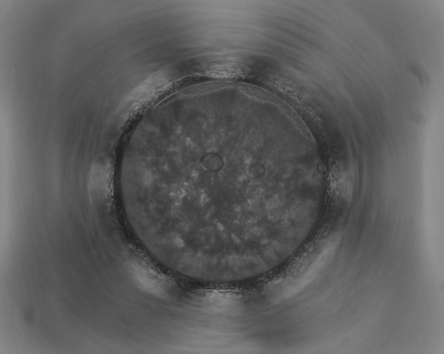 X0000115270303200911131813