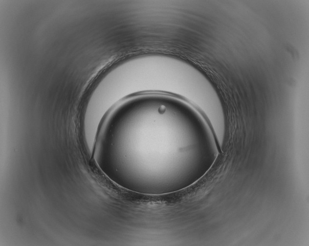 X0000115270304200911131813