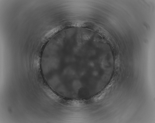 X0000115270305200911131813