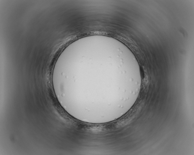 X0000115270306200911131813