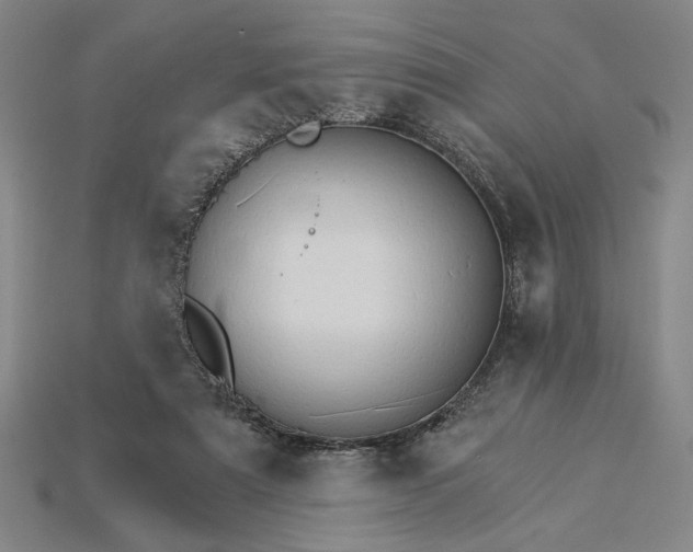 X0000115270307200911131813