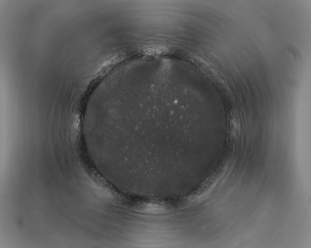 X0000115270308200911131813