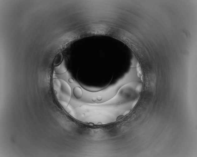 X0000115270309200911131813
