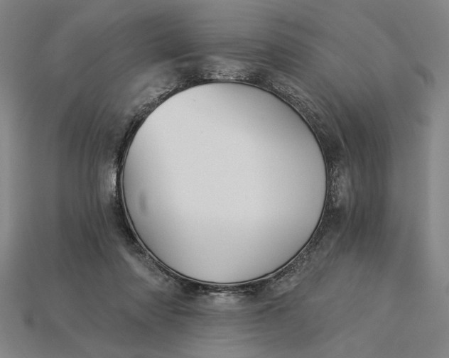X0000115270310200911131813