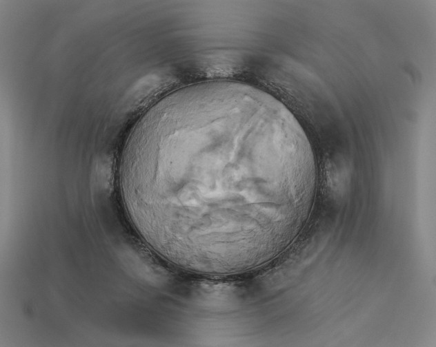 X0000115270311200911131813