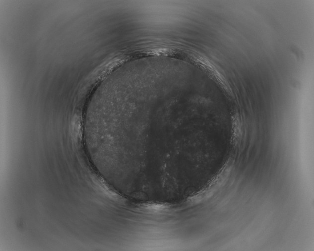 X0000115270313200911131813
