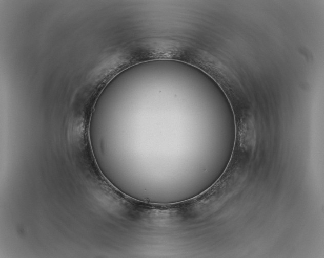 X0000115270314200911131813