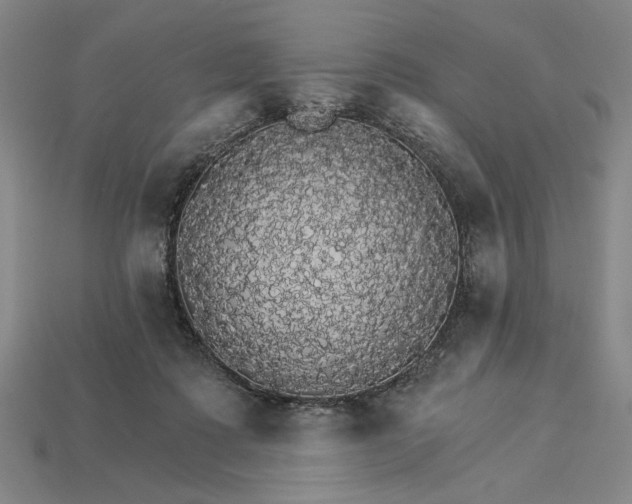 X0000115270315200911131813