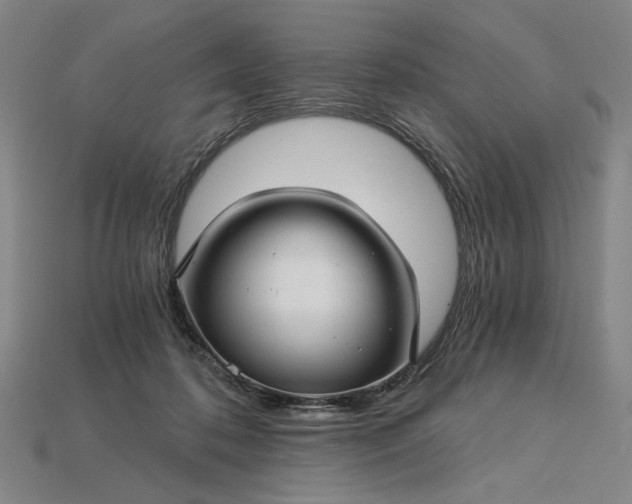 X0000115270316200911131813