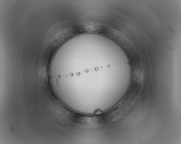 X0000115270317200911131813