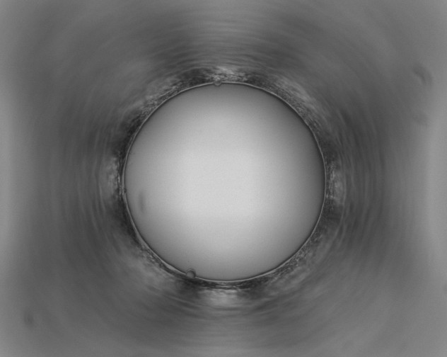 X0000115270318200911131813