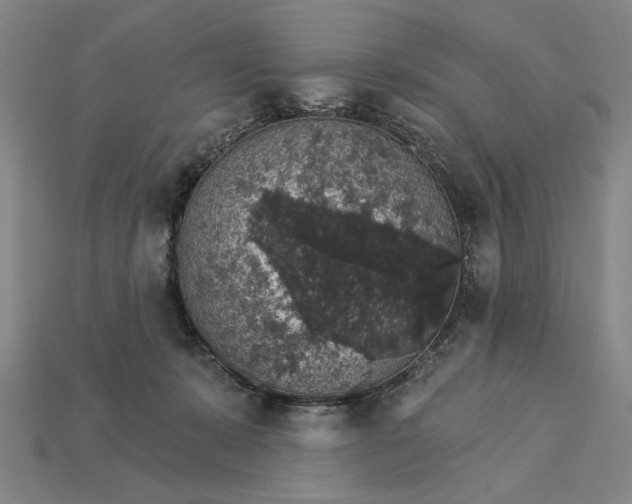 X0000115270319200911131813