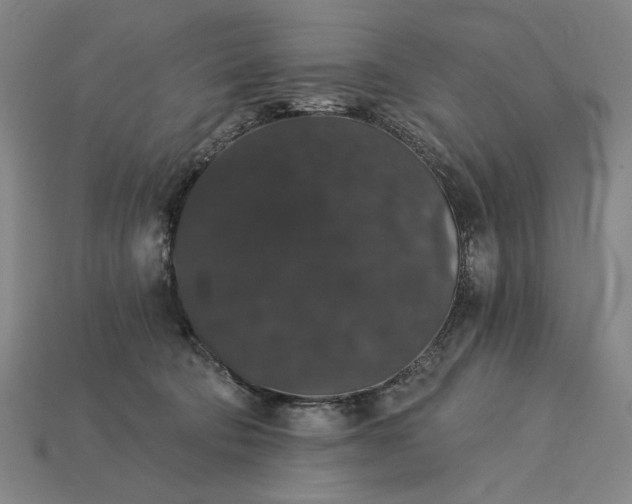 X0000115270322200911131813