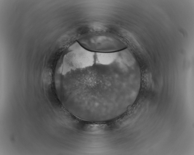 X0000115270323200911131813