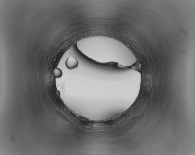 X0000115270324200911131813