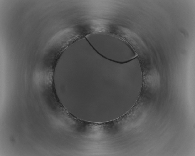 X0000115270325200911131813