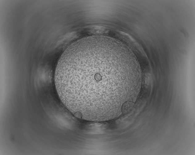 X0000115270326200911131813