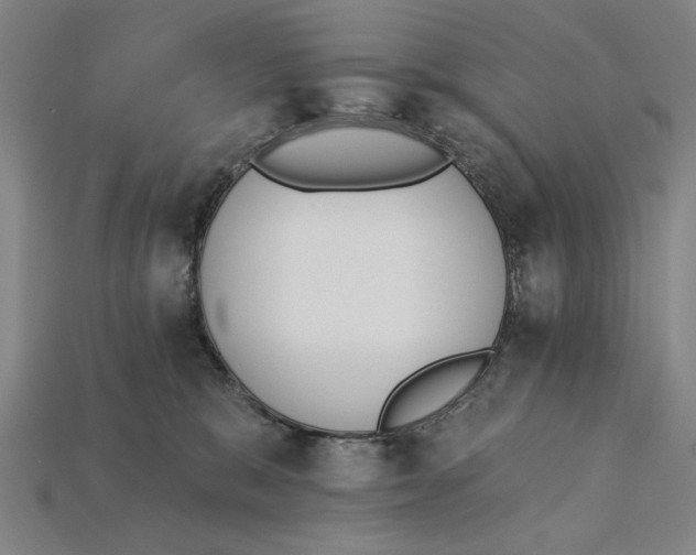 X0000115270327200911131813