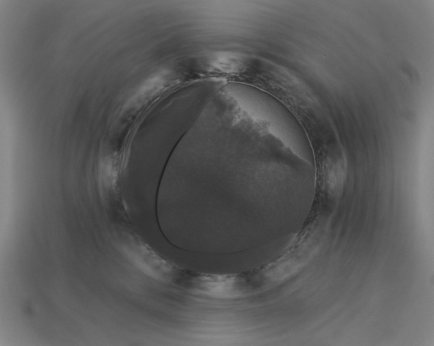 X0000115270328200911131813