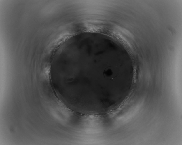 X0000115270329200911131813