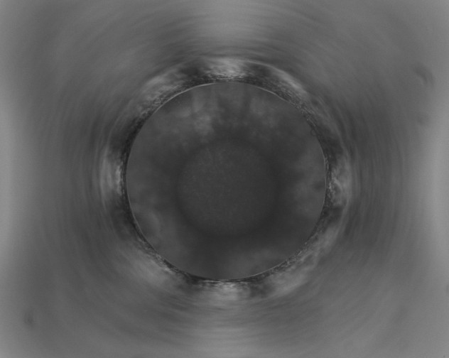 X0000115270330200911131813
