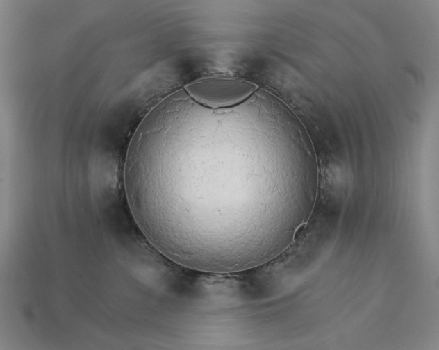 X0000115270331200911131813