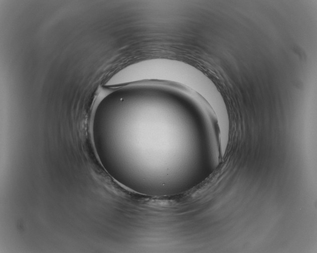 X0000115270332200911131813