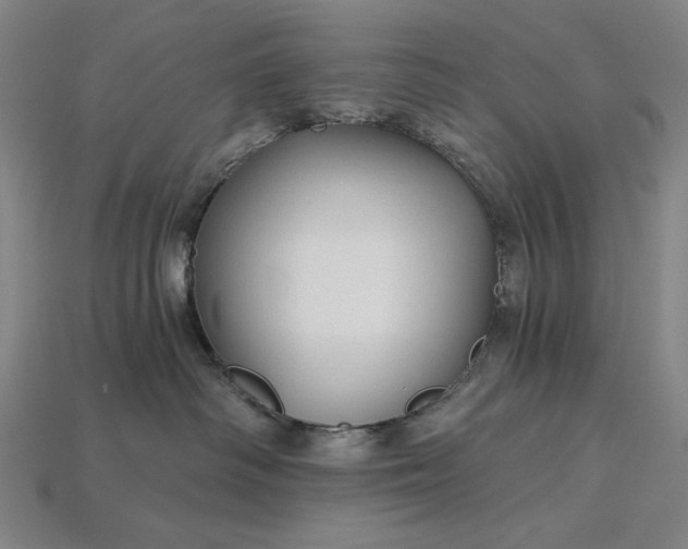 X0000115270334200911131813