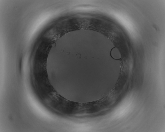 X0000115270335200911131813