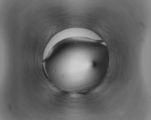 X0000115270336200911131813