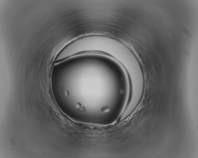 X0000115270337200911131812