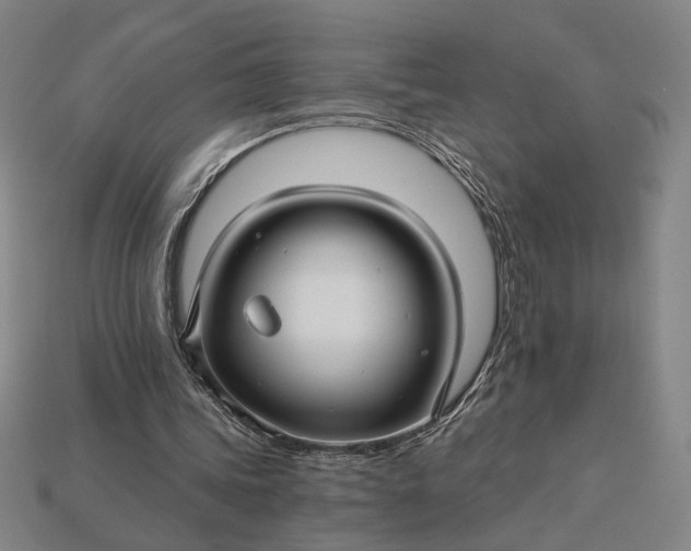 X0000115270339200911131812