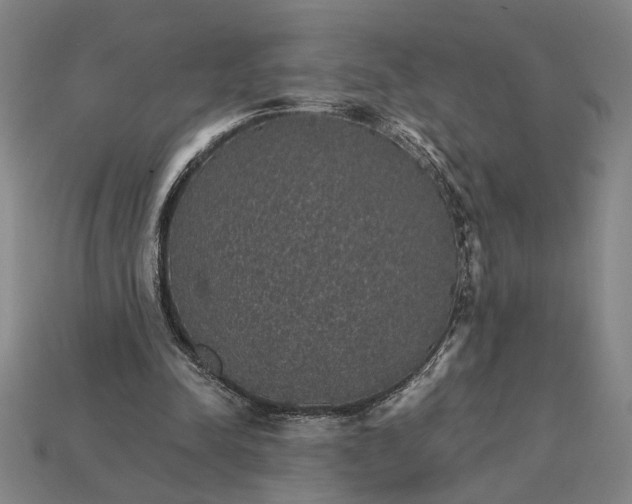 X0000115270342200911131812