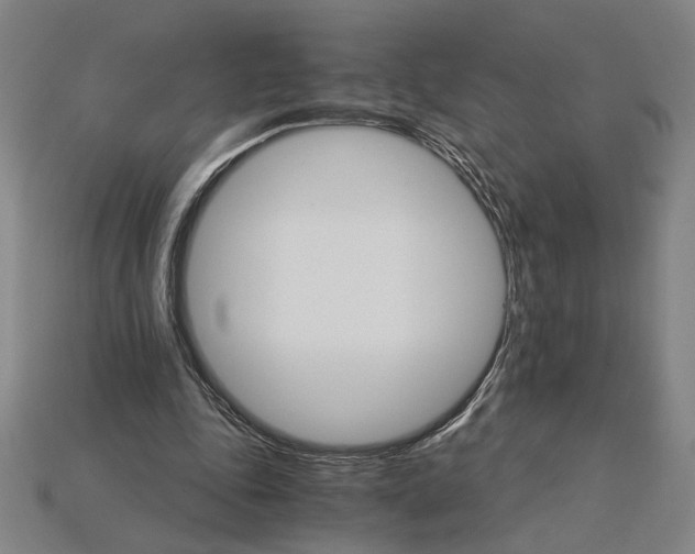 X0000115270343200911131812