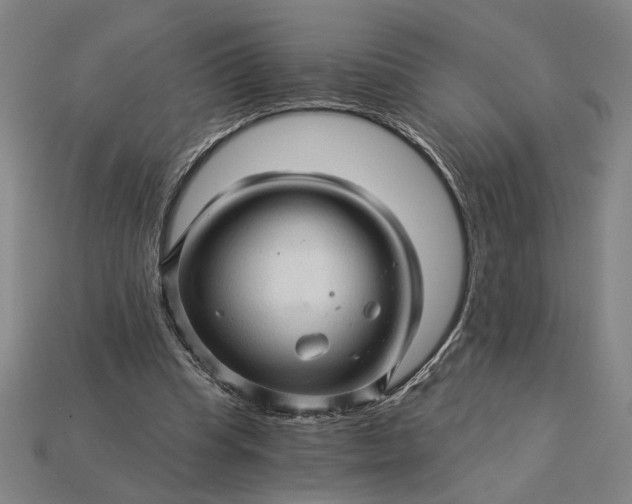 X0000115270345200911131812
