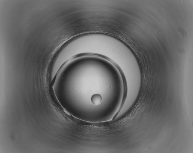 X0000115270347200911131812