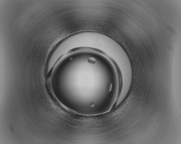 X0000115270349200911131812