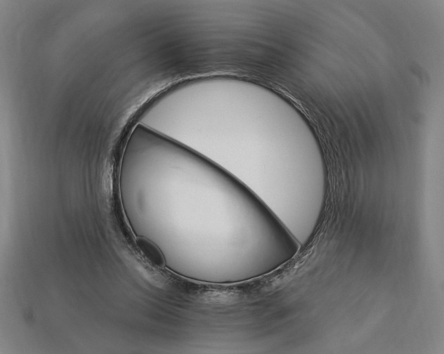 X0000115270350200911131812
