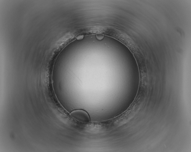X0000115270354200911131812