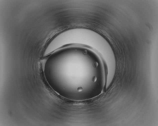 X0000115270357200911131812