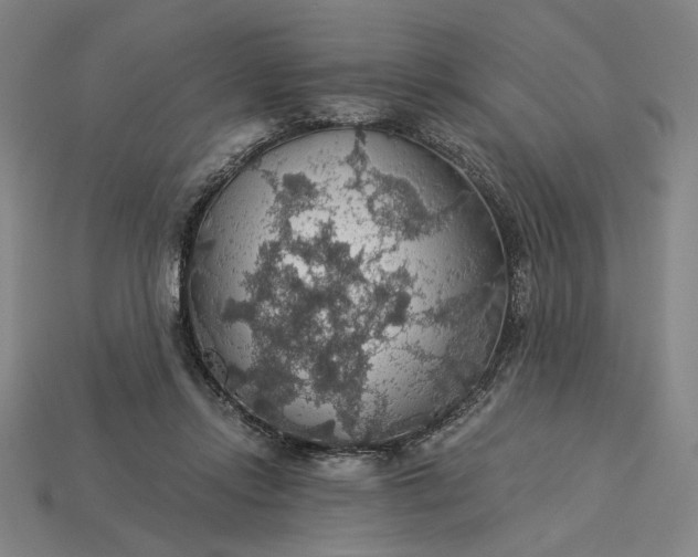 X0000115270358200911131812
