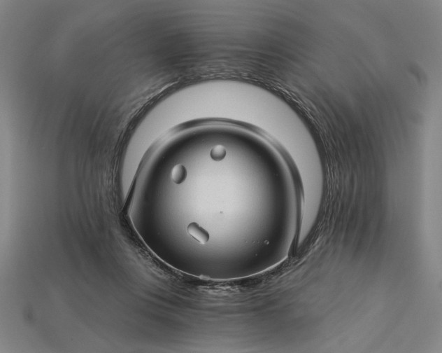 X0000115270359200911131812
