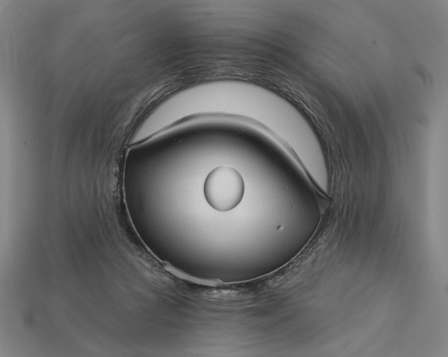 X0000115270361200911131812