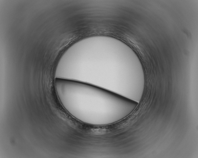 X0000115270362200911131812
