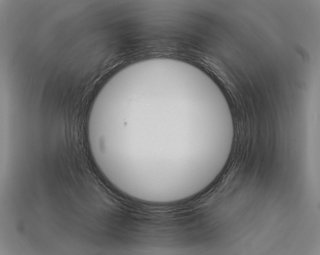 X0000115270363200911131812
