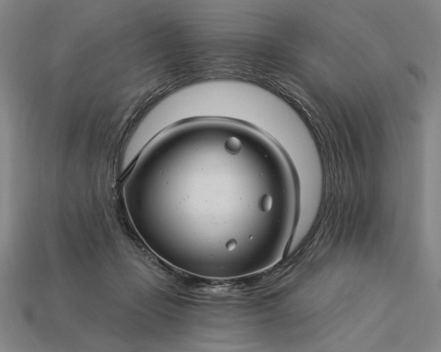 X0000115270365200911131812
