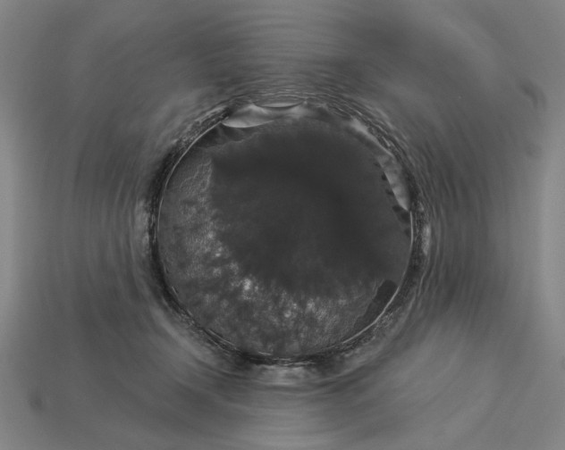 X0000115270366200911131812
