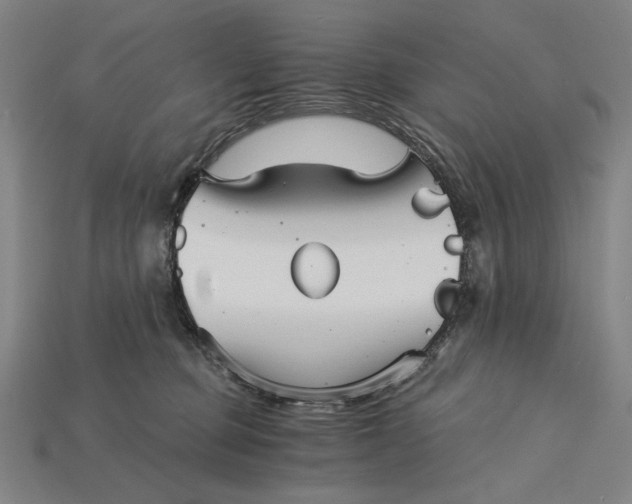 X0000115270373200911131813