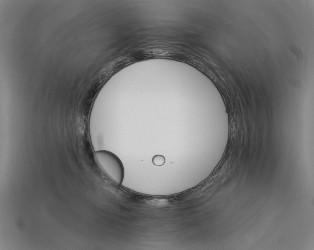 X0000115270374200911131813