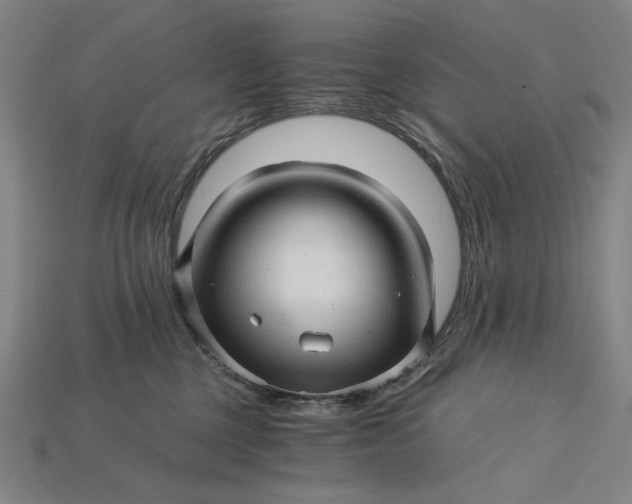 X0000115270377200911131813